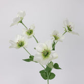 Artificial Hellebore Spray 60cmH in White